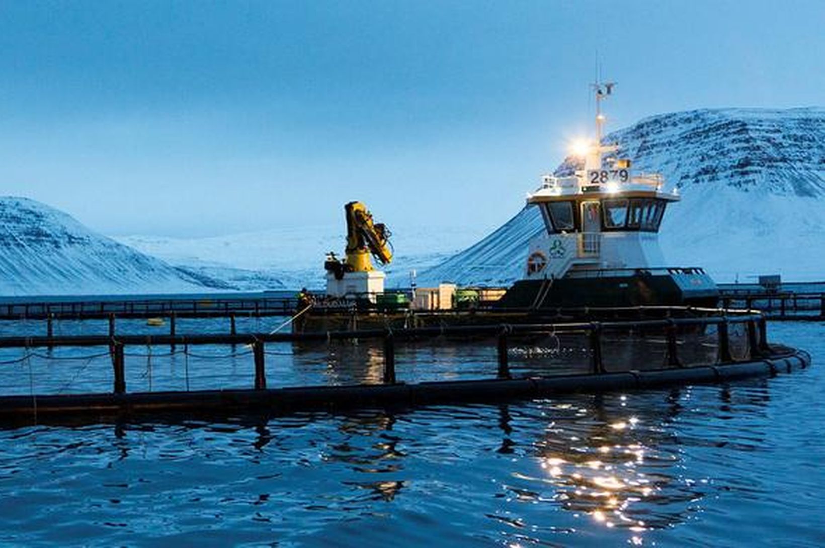 Vilja auka eldið í Arnarfirði um 4.500 tonn