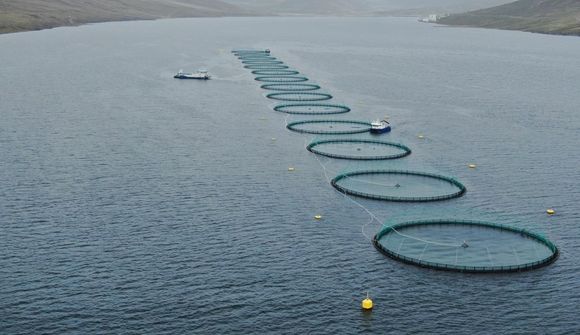 Ice Fish Farm yfirtekur Laxa