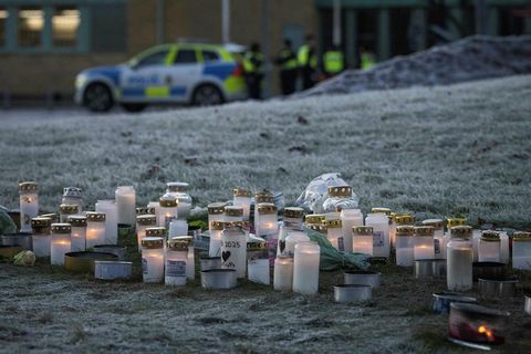 Ríkisstjórn Svíþjóðar mun leggja fram frumvarp um breytingar á byssulögum í landinu.