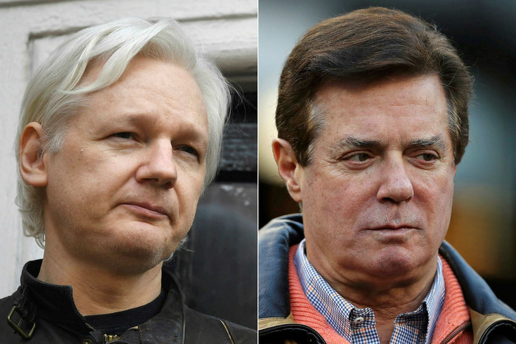 Julian Assange, stofnandi WikiLeaks, og Paul Manafort, fyrrverandi kosningastjóri Donald …