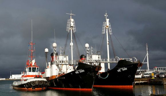 Boða afléttingu á veiðibanni með skilyrðum