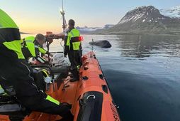 Þessi ljósmynd var tekin um borð í Verði II.