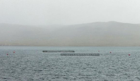 Skýra þarf hlutverk stofnana