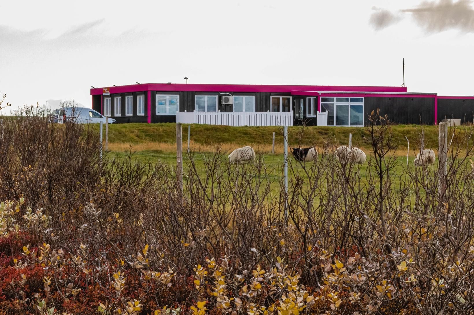 Hópur ferðamanna setti allt í vasana