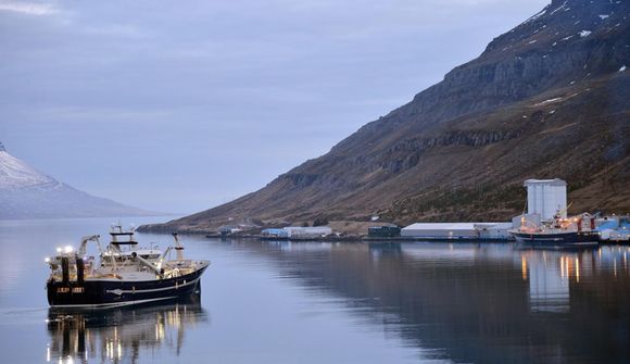 Lífeyrissjóðir hagnast á Síldarvinnslunni