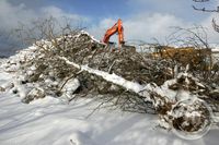 Tré rifin upp í Fossvogi