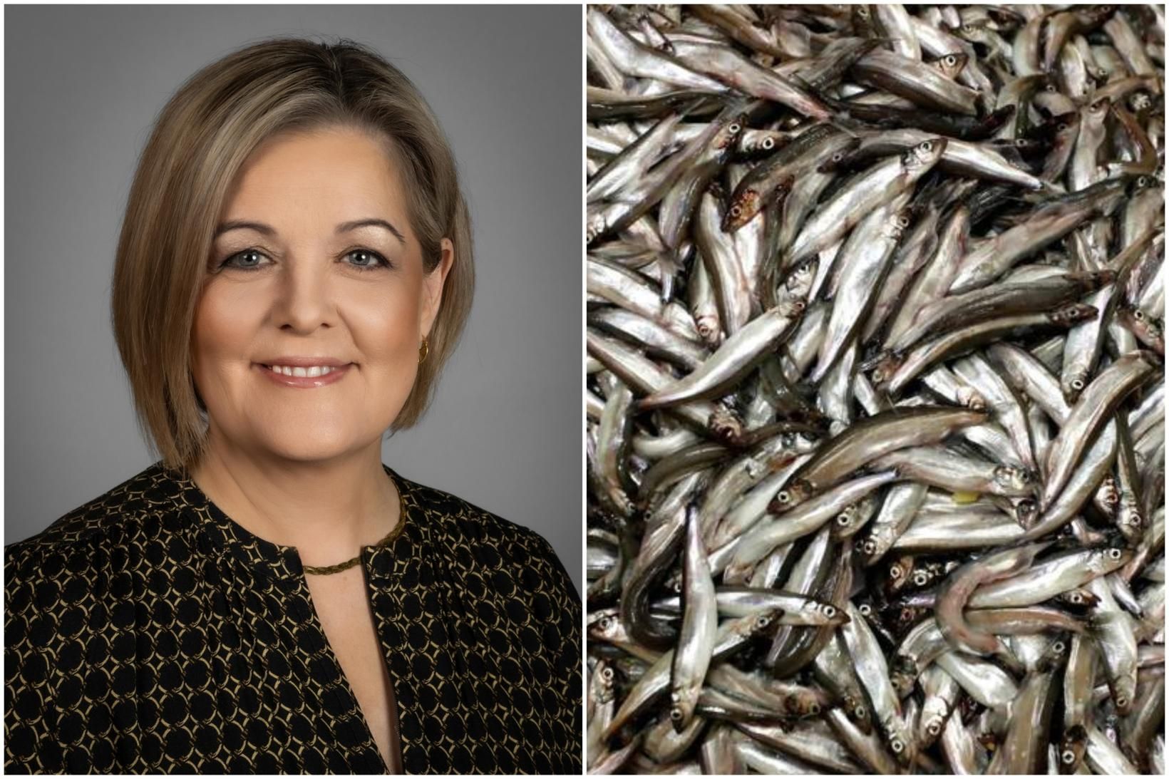 Sagði Eydís mikilvægt að segja það upphátt að fyrirtækin þurfi …