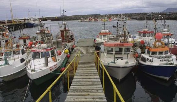 Krókabátar fá að veiða makríl til 20. september