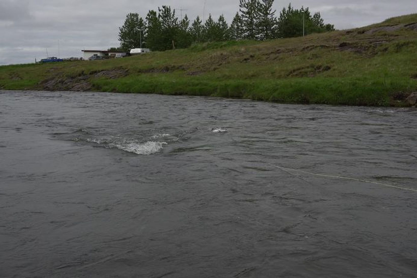 Stórlaxinn er að ná sér á strik á Vesturlandi eftir …