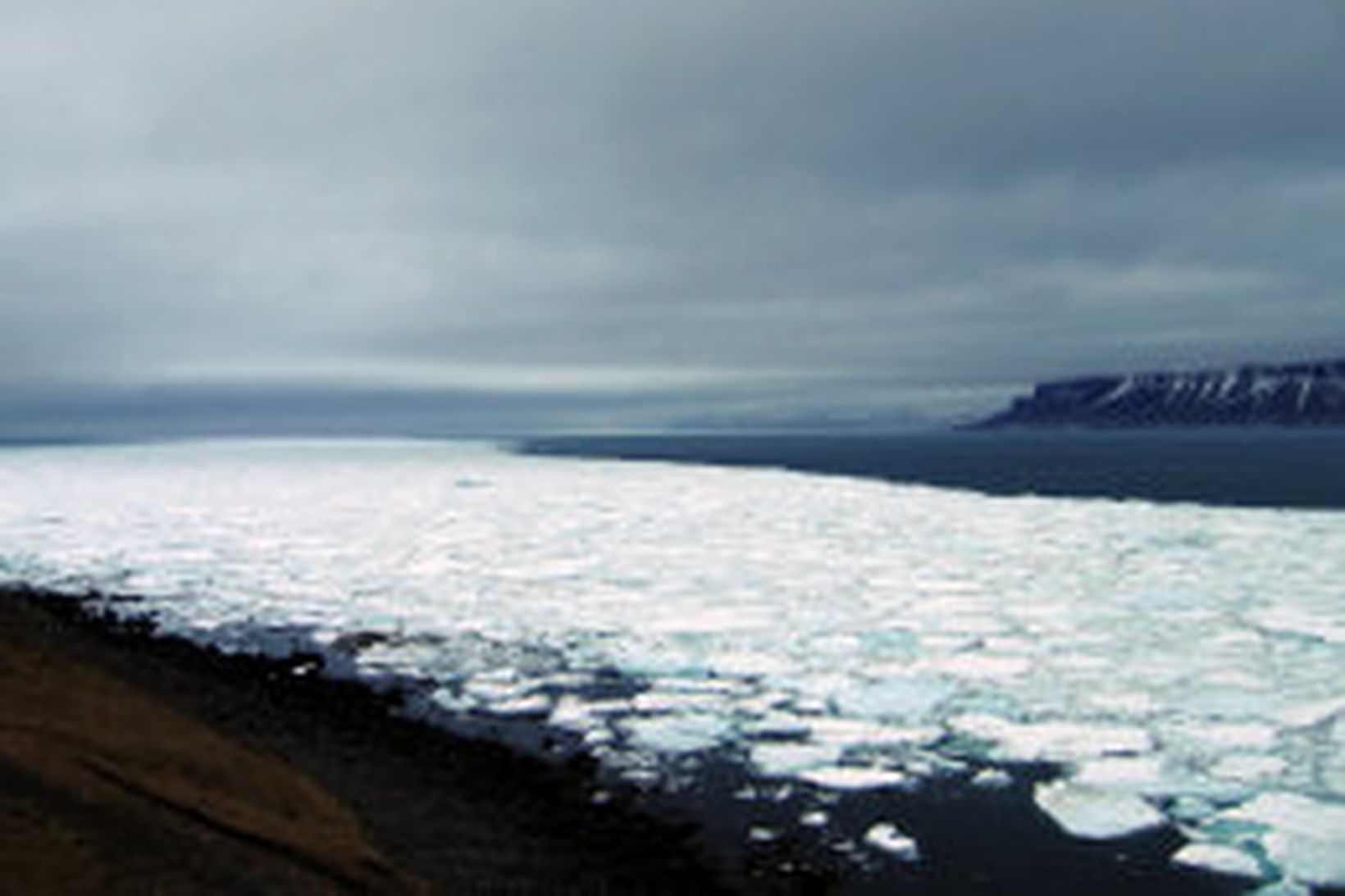 Hafís er landfastur í Arnarfirði.