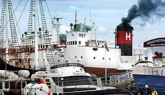 Hvalveiðar hafa ekki skaðað