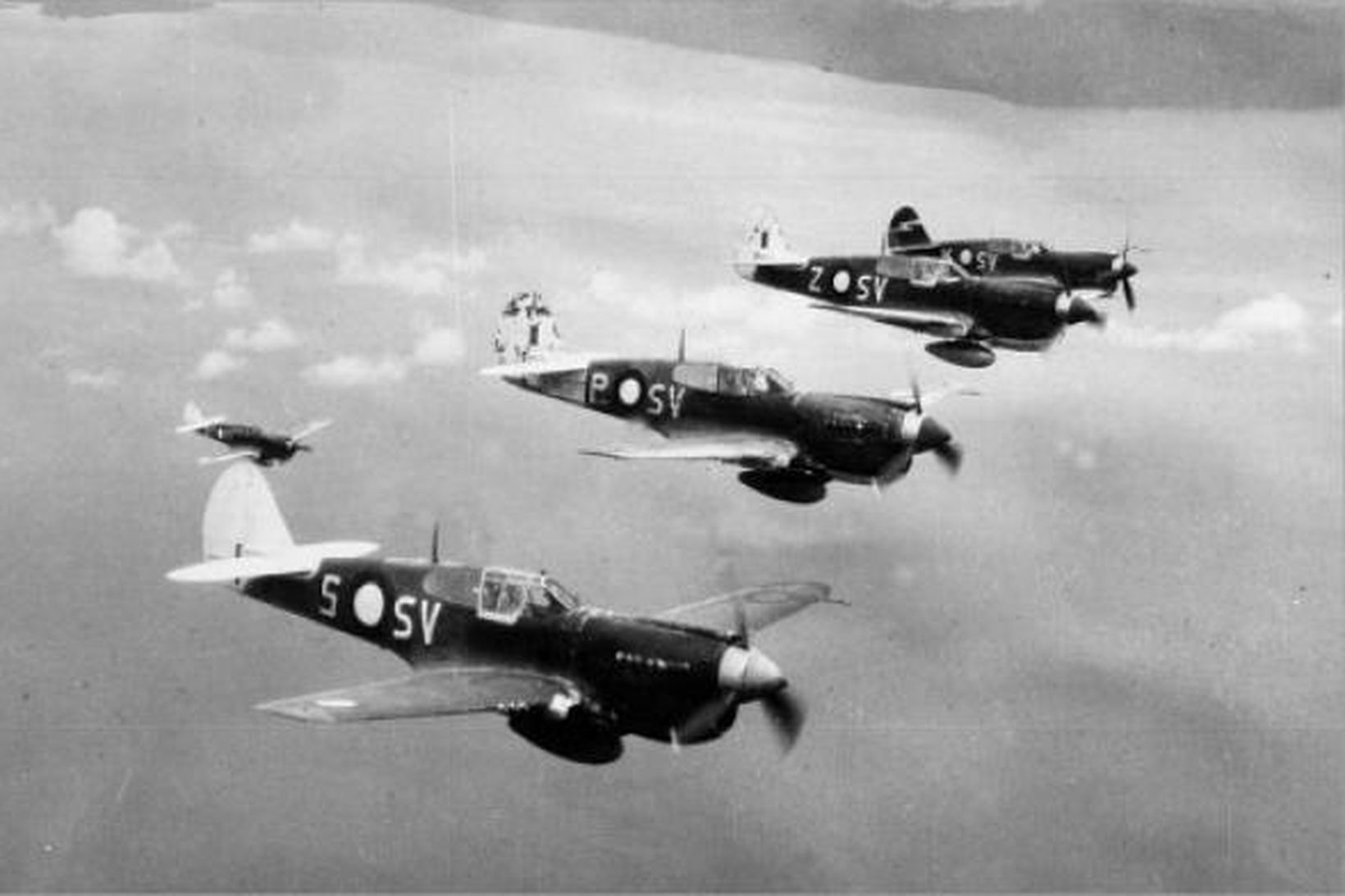 Flugvélar af gerðinni Kittyhawk P-40.