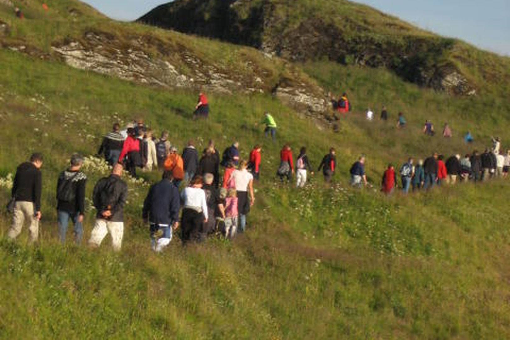 Hin árlega kúmenganga í Viðey verður gengin þriðjudaginn 19. ágúst.
