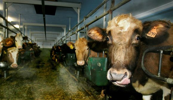 „Orðið mjög leiðinlegt ástand og erfitt“