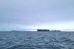 Strandveiðisjómenn í Skagafirði hafa áhyggjur af þeim áhrifum sem dragnótaveiðar í firðinum hafa á afkomu …