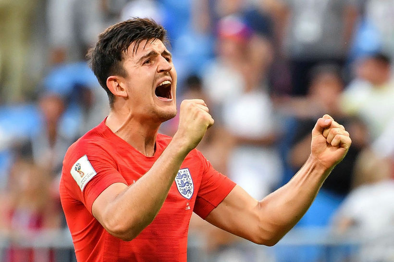 Harry Maguire fagnar eftir að England tryggði sér sæti í …