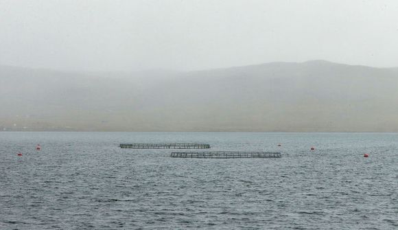 Skýra þarf reglur við útgáfu starfsleyfa
