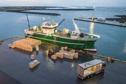Vorskrapið er hafið hjá mörgum skipum. Páll Jónsson GK kom til hafnar í vikunni aðallega …