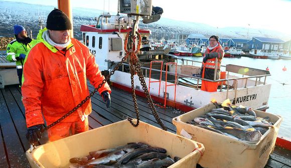 Opnað fyrir dragnótaveiði inn í botn á Skagafirði