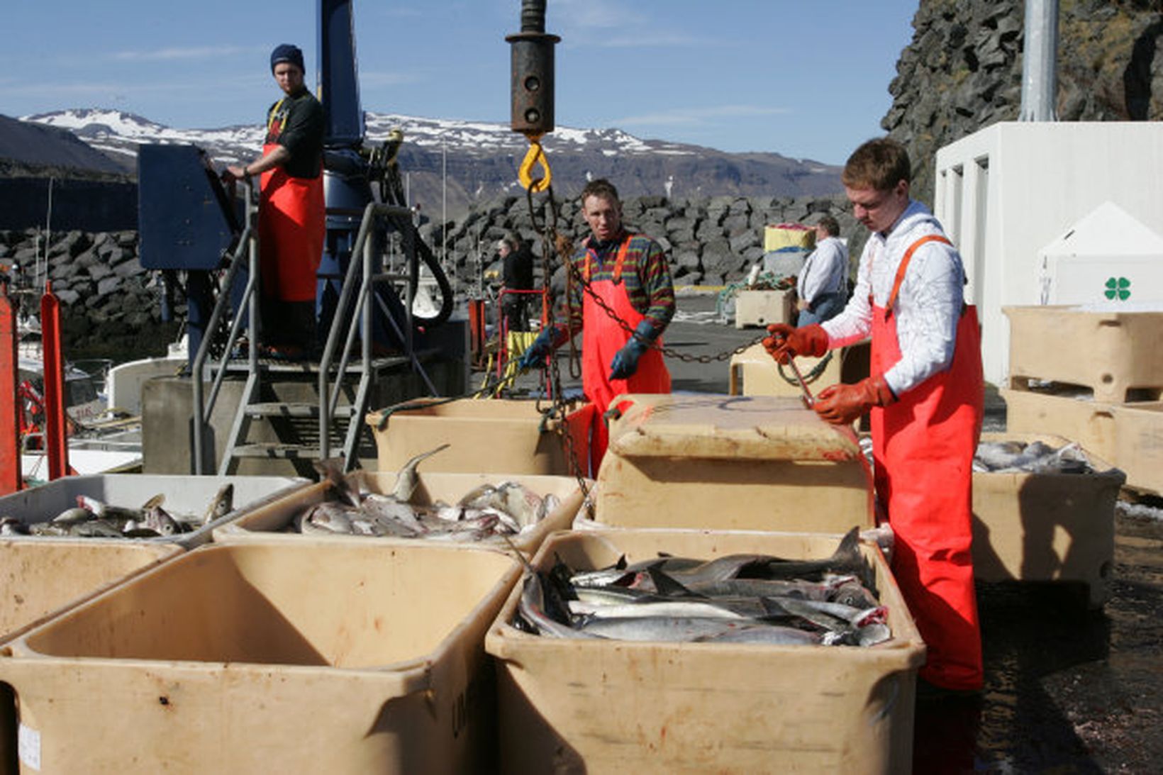 Mjög góð veiði hefur verið hjá þeim handfærabátum sem róa …