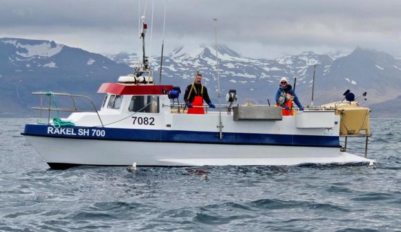 Strandveiðar á góðri siglingu