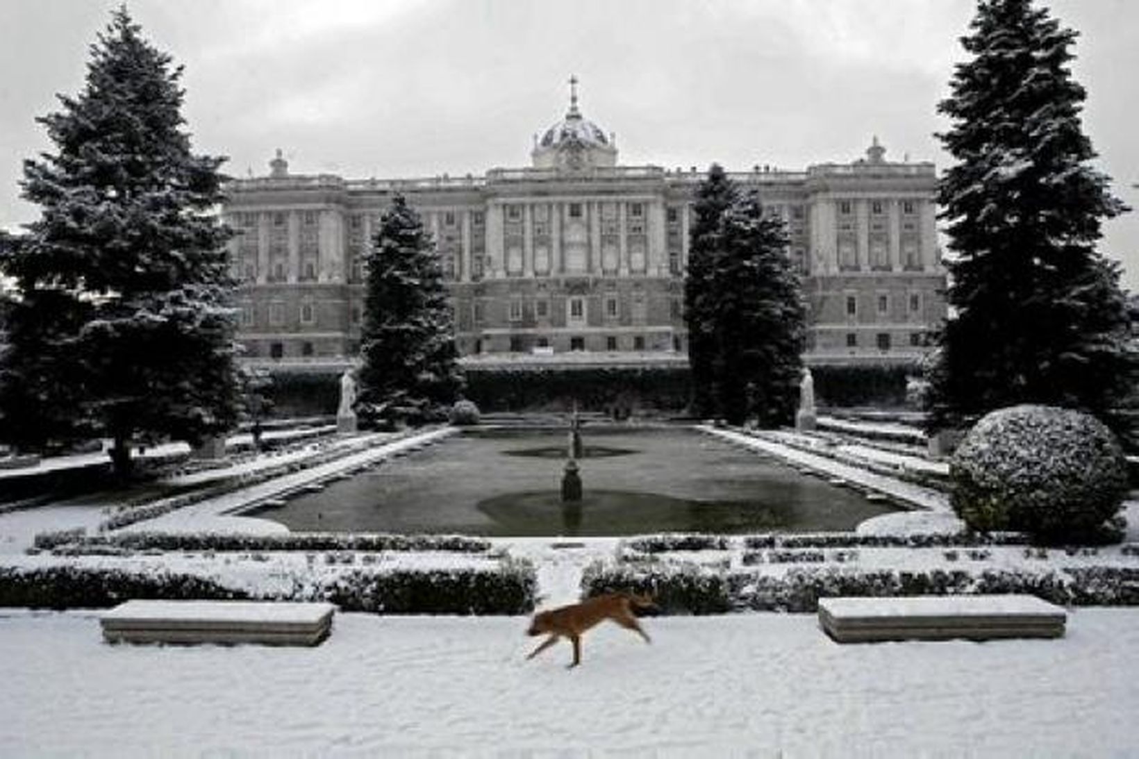 Það snjóaði í Madrid í dag eins og sést á …