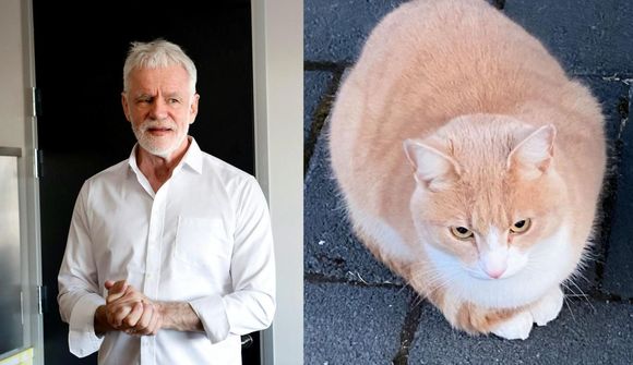 Köttur Kára horfinn á vit feðra sinna