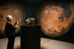 Steinnin sem hlaut nafnið NWA 16788 er stærsti hluti af Mars sem fundist hefur á …