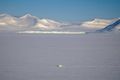 Svalbarði Ísbjörn gengur yfir ísilagðan fjörð á Svalbarða í apríl sl. Land á eyjaklasanum reis um 20 millimetra á síðasta ári vegna bráðnunar jökla.