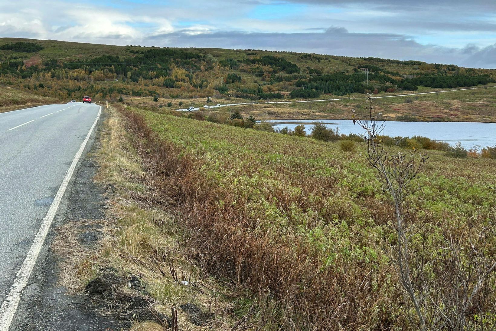 Rjúpnahlíð í Garðabæ.