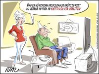 Teikningin - þri.20.maí.2025