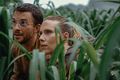Í hættu Scarlett Johansson og Jonathan Bailey leika persónur sem hætta sér inn á svæði þar sem erfðarannsóknir á risaeðlum hafa farið fram.
