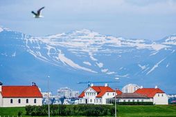 Mælaborðið sýnir niðurstöður úr könnunum sem gerðar hafa verið vegna komandi forsetakosninga.