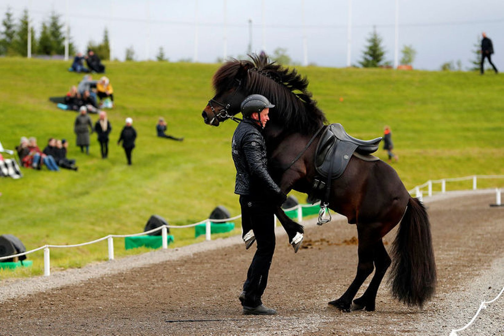 Knapi frá Vesturkoti fékk hest sinn til að sýna kúnstir.