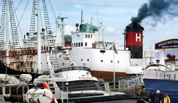 Hafa áhyggjur af hvalveiðimálum