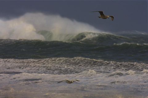 Heavy winds will be seen all along the South Coast tomorrow night.