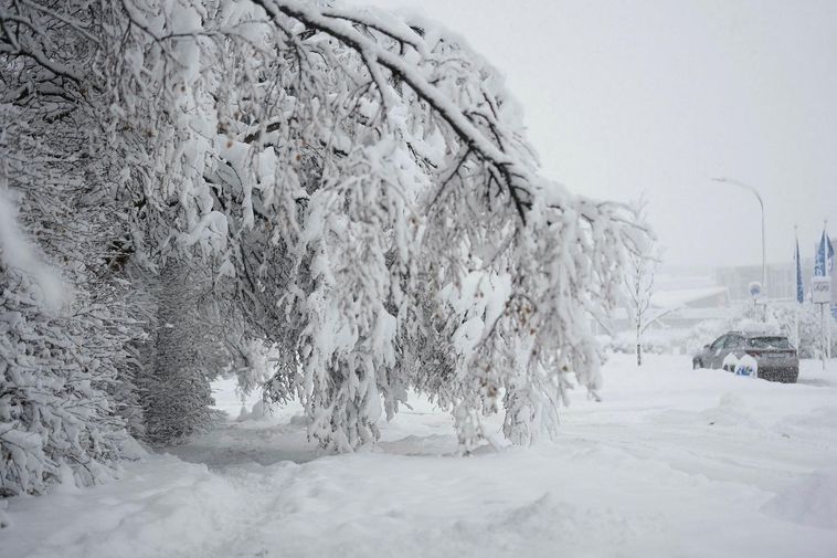 Yellow weather warnings issued for northeasterly blizzard conditions