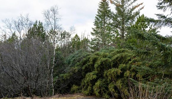 Borgarstjóri vék af fundi fyrir afgreiðslu