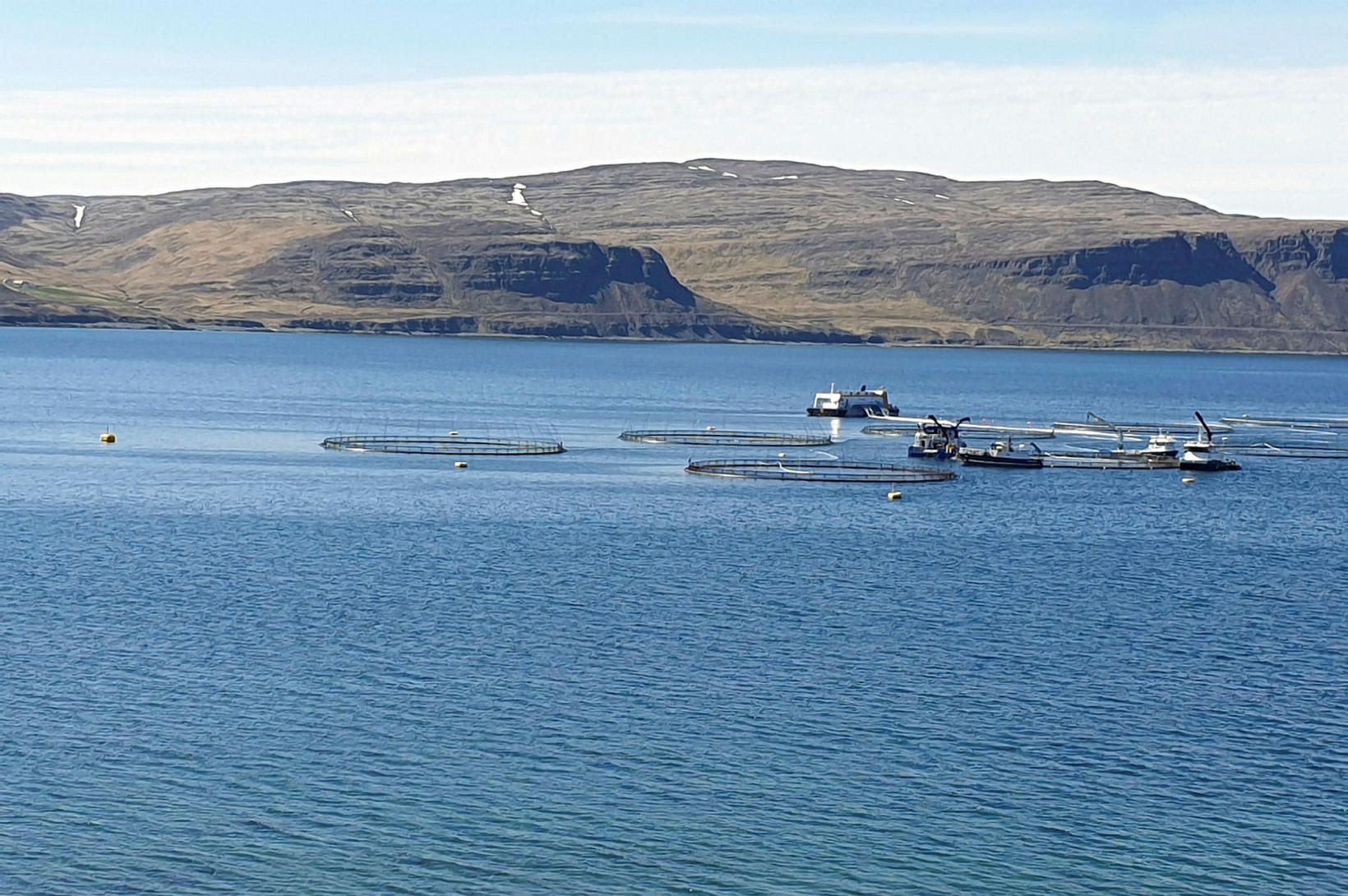 Stöðvun gildistöku leyfis Arctic Fish hafnað