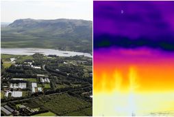 Skiptar skoðanir eru um það hvað það er sem kemur fram á myndinni. Hún hefur …