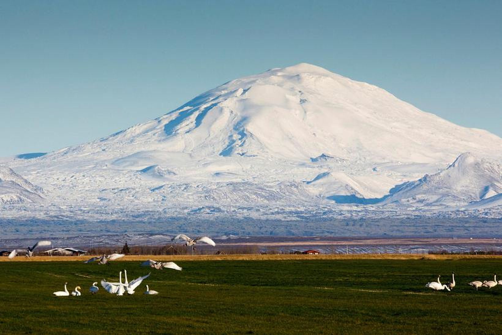 Hekla gaus síðast árið 2000.