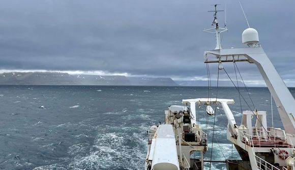 Útbreiðsla makríls í íslenskri landhelgi ein sú minnsta