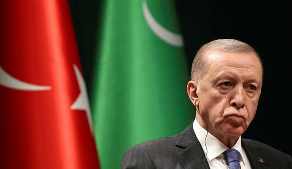 Erdogan býðst til að miðla málum