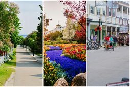 Mackinac-eyjan er ótrúlega falleg og spennandi til útivistar, hreyfi- og gönguferða.
