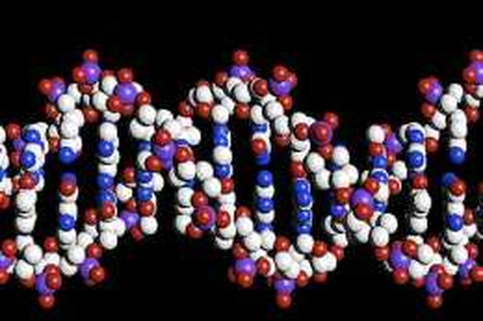 Tvöfaldur helix DNA erfðaefnis.
