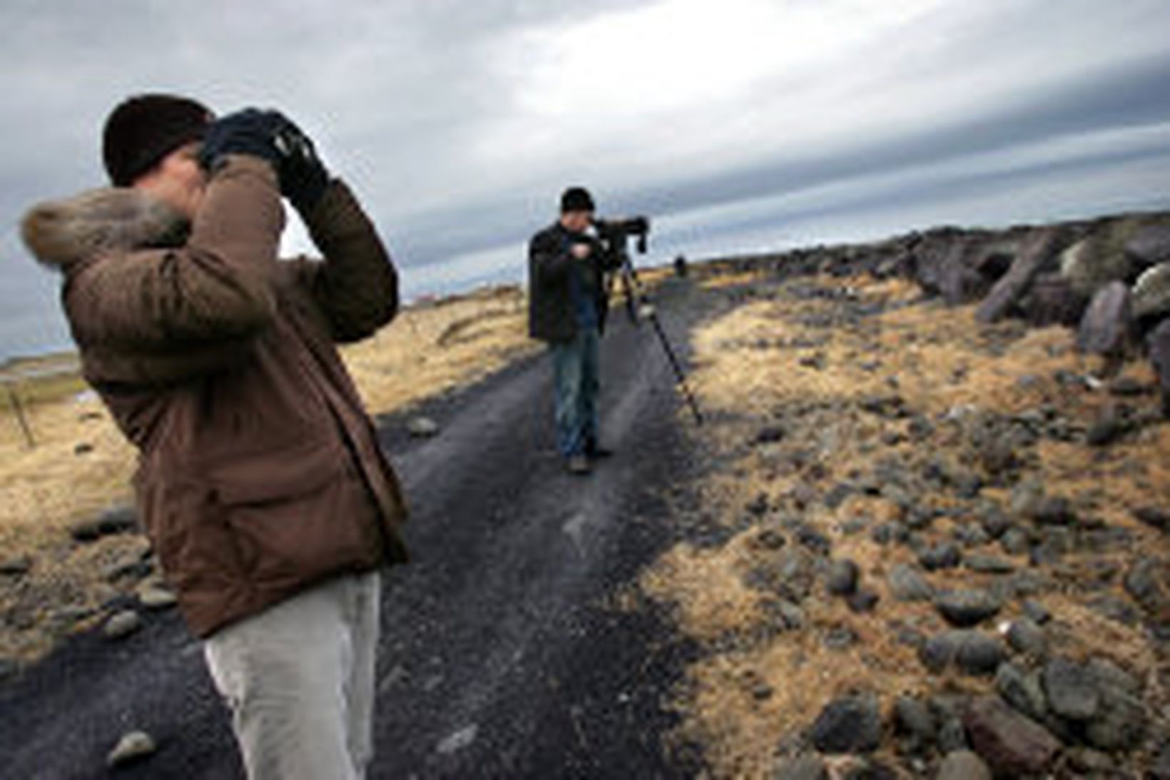 Olíublautur þari út um allt í kringum strandsstað Wilson Muuga.