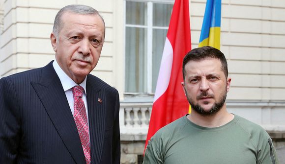 Erdogan segist styðja Úkraínu