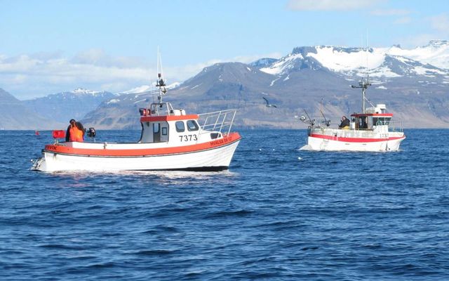 Lítið er eftir af strandveiðikvóta og því óljóst hvort þær standi yfir í þá 48 …