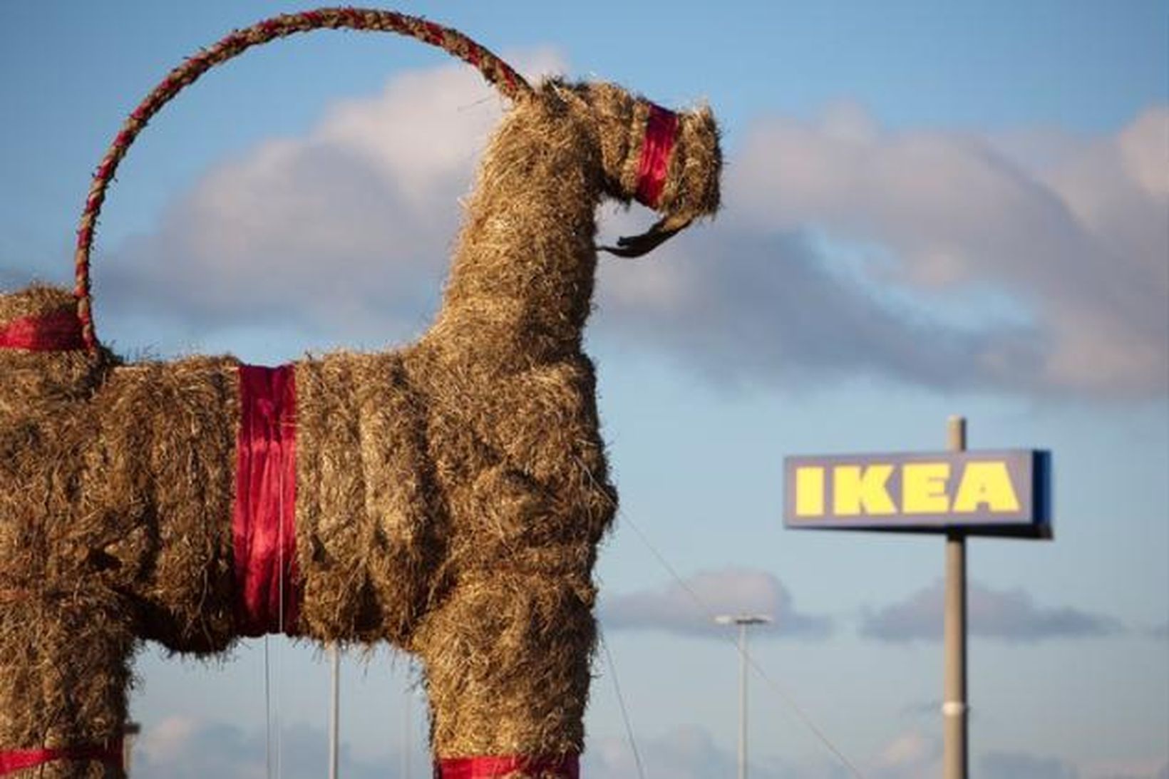 Risageitin Gävle við verslun IKEA í Garðabæ