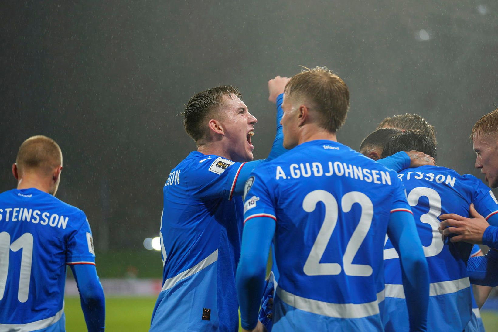 Ísland fékk góðan drátt